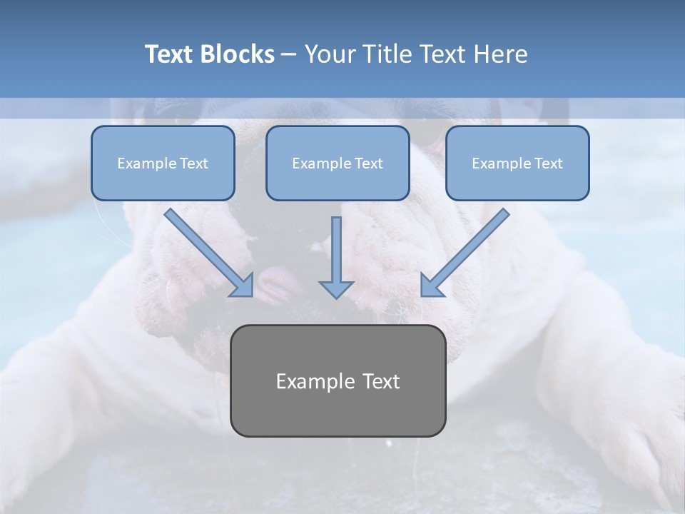 Electricity Home Climate PowerPoint Template