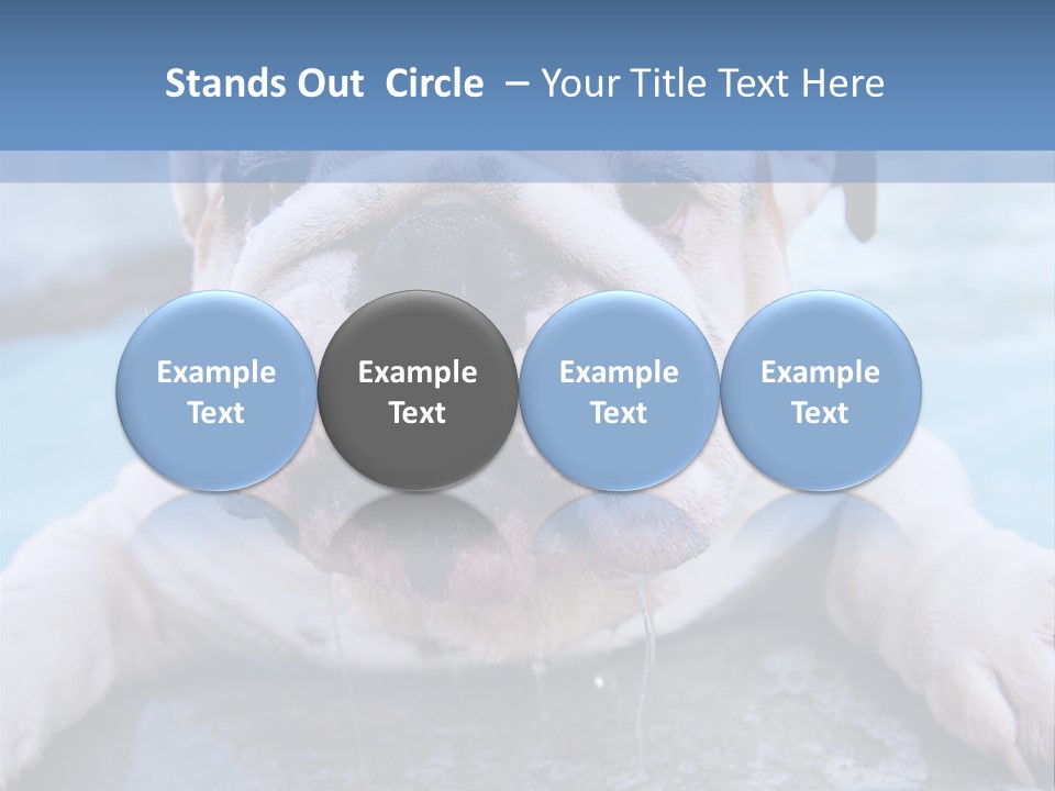 Electricity Home Climate PowerPoint Template