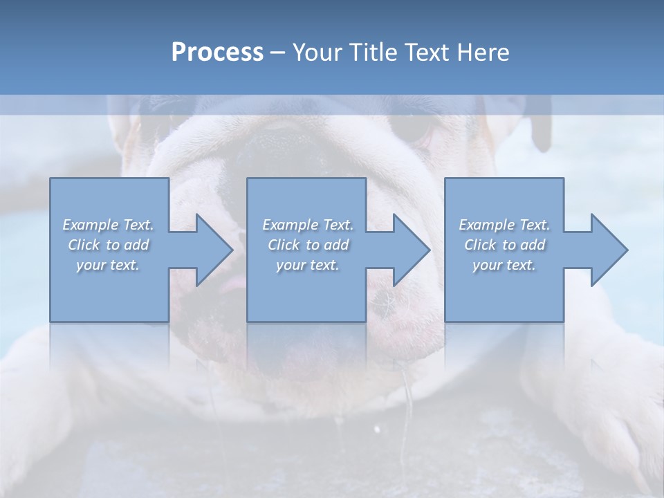 Electricity Home Climate PowerPoint Template