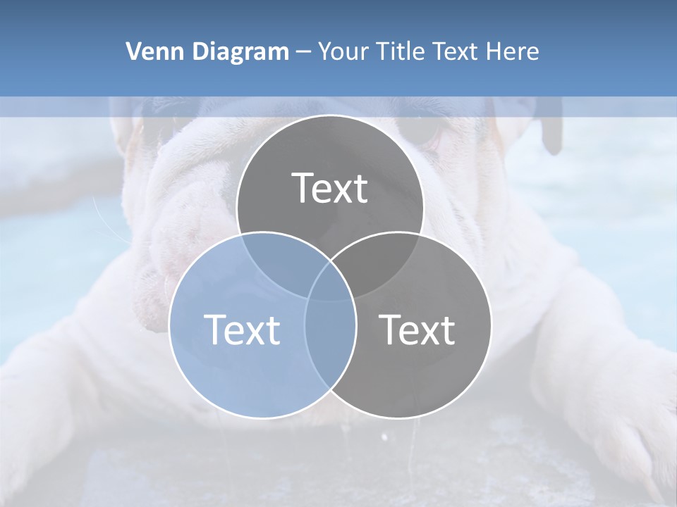 Electricity Home Climate PowerPoint Template
