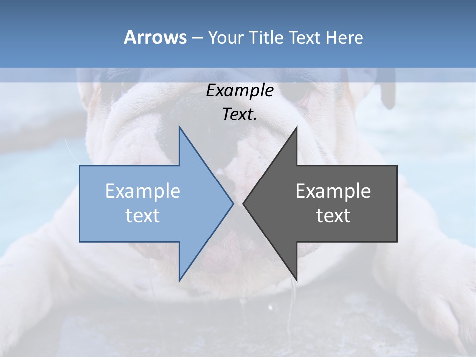 Electricity Home Climate PowerPoint Template