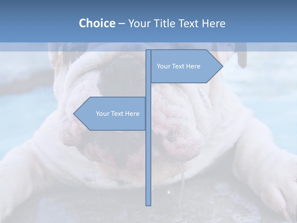Electricity Home Climate PowerPoint Template