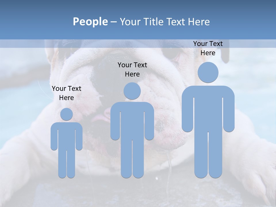 Electricity Home Climate PowerPoint Template