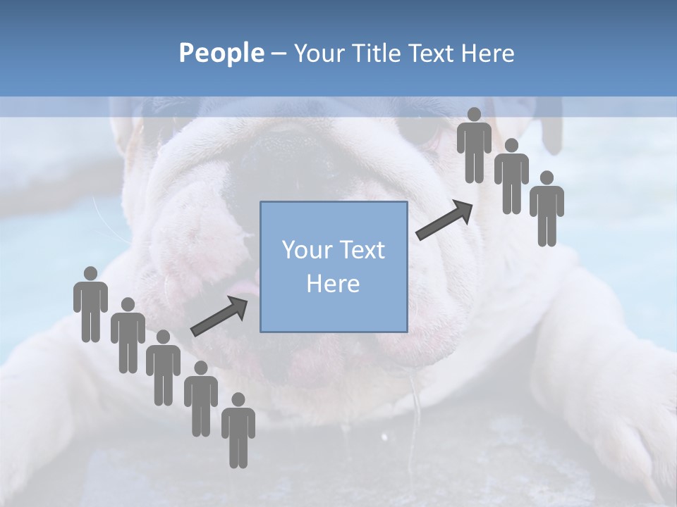 Electricity Home Climate PowerPoint Template