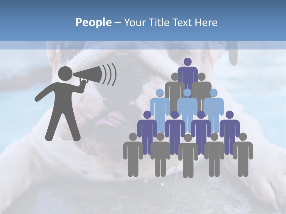 Electricity Home Climate PowerPoint Template