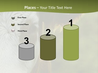Equipment Climate Temperature PowerPoint Template