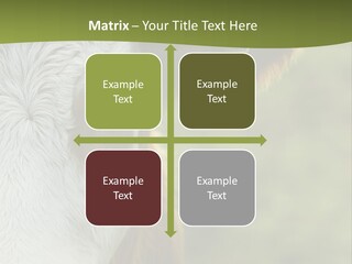 Equipment Climate Temperature PowerPoint Template