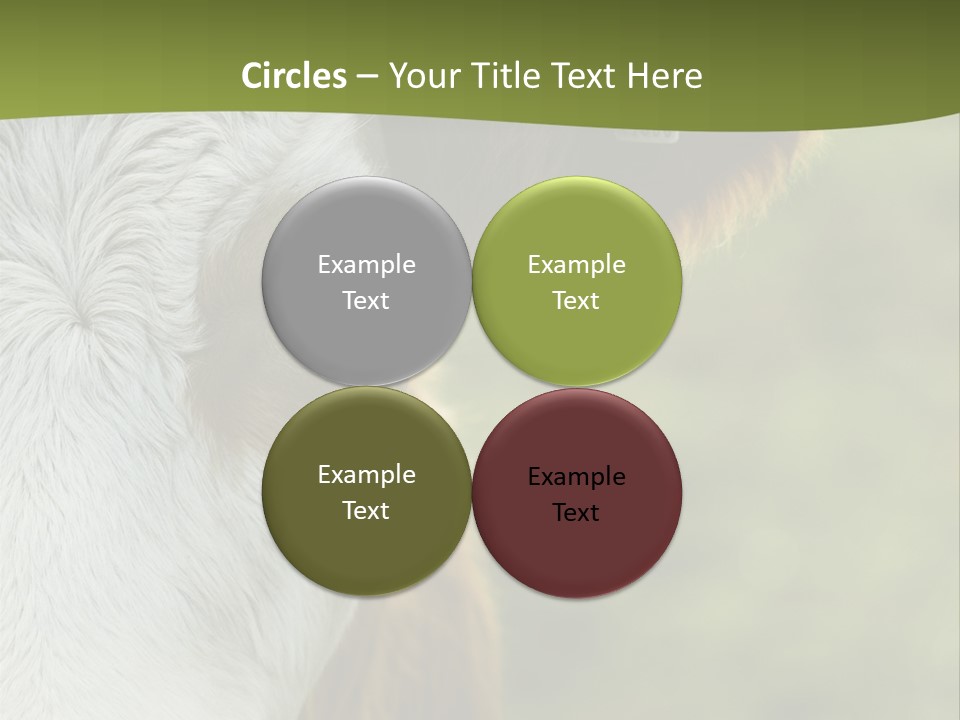 Equipment Climate Temperature PowerPoint Template