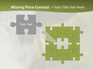 Equipment Climate Temperature PowerPoint Template