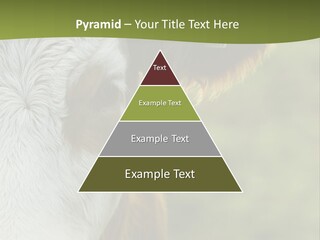 Equipment Climate Temperature PowerPoint Template