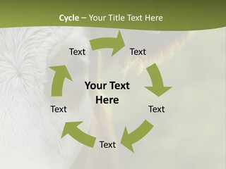 Equipment Climate Temperature PowerPoint Template