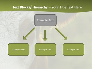 Equipment Climate Temperature PowerPoint Template