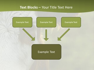 Equipment Climate Temperature PowerPoint Template