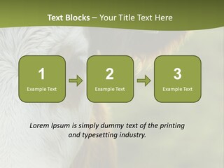 Equipment Climate Temperature PowerPoint Template