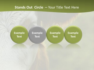 Equipment Climate Temperature PowerPoint Template