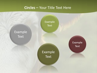 Equipment Climate Temperature PowerPoint Template