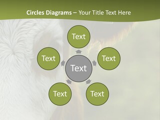 Equipment Climate Temperature PowerPoint Template