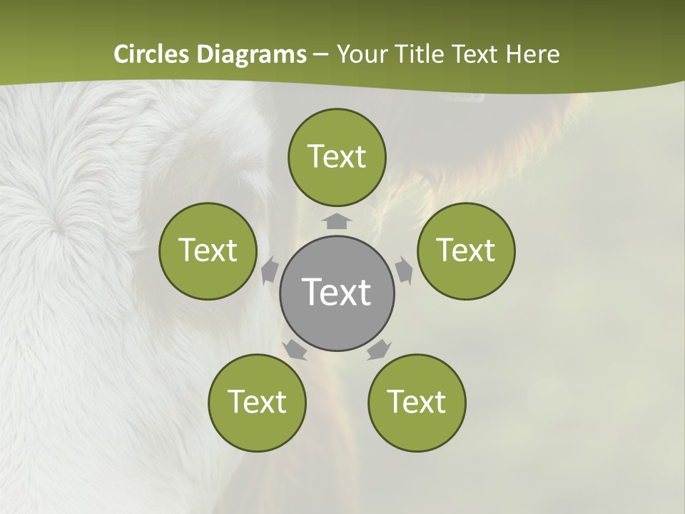 Equipment Climate Temperature PowerPoint Template