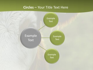 Equipment Climate Temperature PowerPoint Template