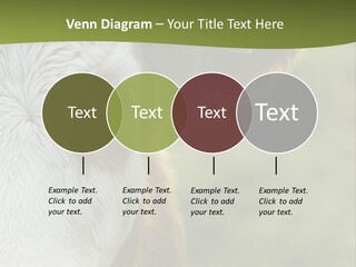 Equipment Climate Temperature PowerPoint Template