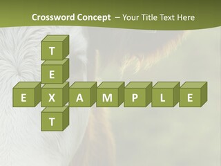 Equipment Climate Temperature PowerPoint Template