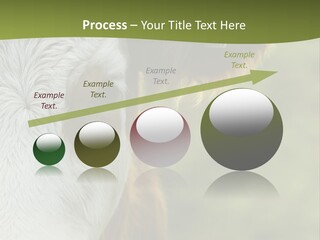 Equipment Climate Temperature PowerPoint Template