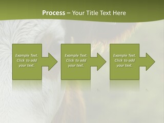 Equipment Climate Temperature PowerPoint Template