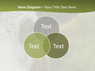Equipment Climate Temperature PowerPoint Template