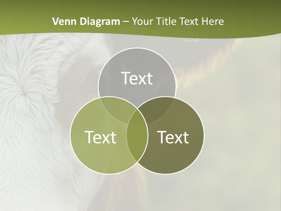 Equipment Climate Temperature PowerPoint Template