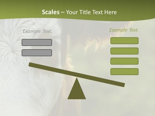 Equipment Climate Temperature PowerPoint Template