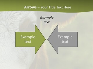 Equipment Climate Temperature PowerPoint Template