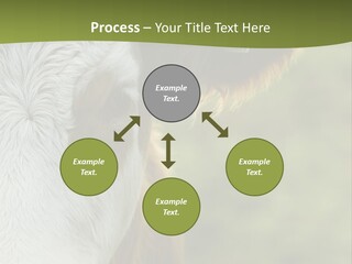 Equipment Climate Temperature PowerPoint Template
