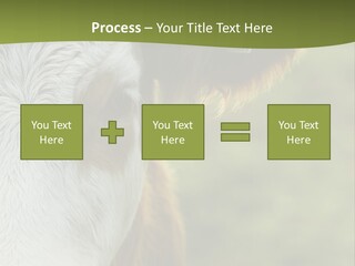 Equipment Climate Temperature PowerPoint Template