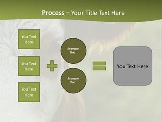 Equipment Climate Temperature PowerPoint Template