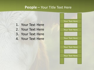 Equipment Climate Temperature PowerPoint Template