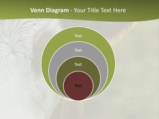 Equipment Climate Temperature PowerPoint Template