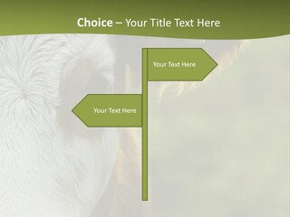 Equipment Climate Temperature PowerPoint Template