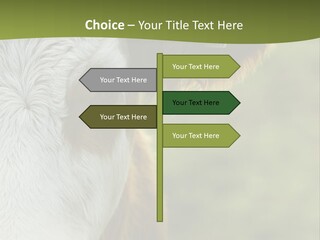 Equipment Climate Temperature PowerPoint Template
