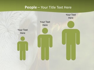 Equipment Climate Temperature PowerPoint Template