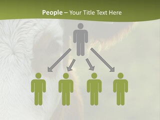Equipment Climate Temperature PowerPoint Template