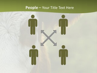 Equipment Climate Temperature PowerPoint Template