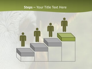 Equipment Climate Temperature PowerPoint Template
