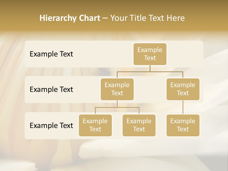 Electricity Unit Temperature PowerPoint Template
