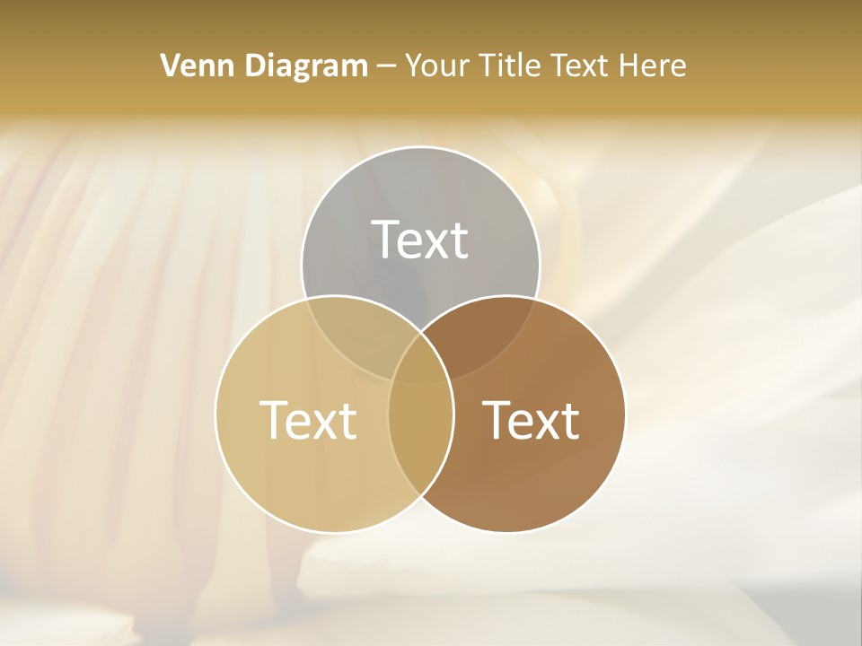 Electricity Unit Temperature PowerPoint Template