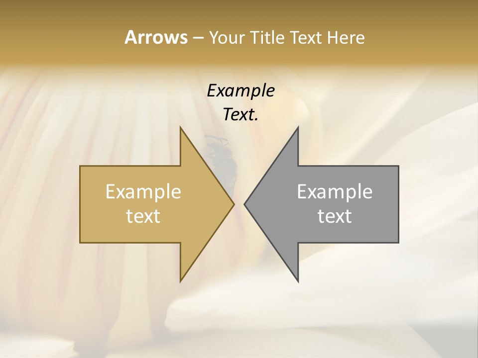 Electricity Unit Temperature PowerPoint Template