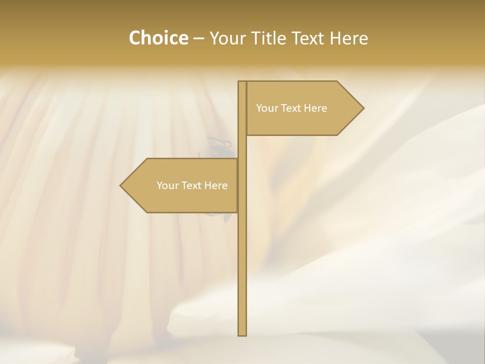 Electricity Unit Temperature PowerPoint Template
