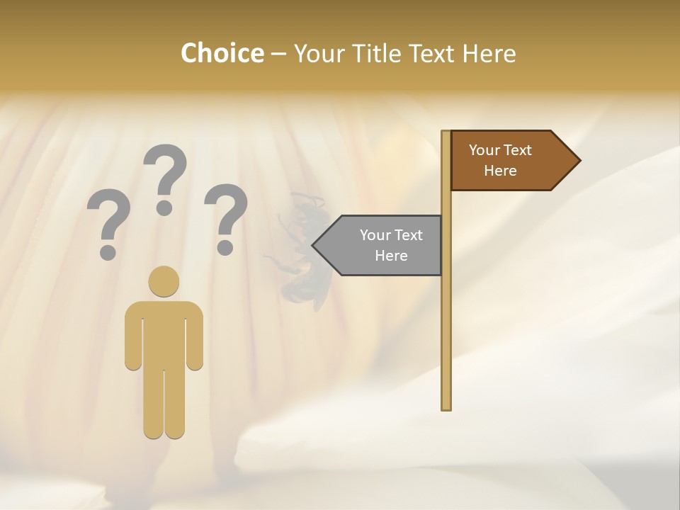 Electricity Unit Temperature PowerPoint Template
