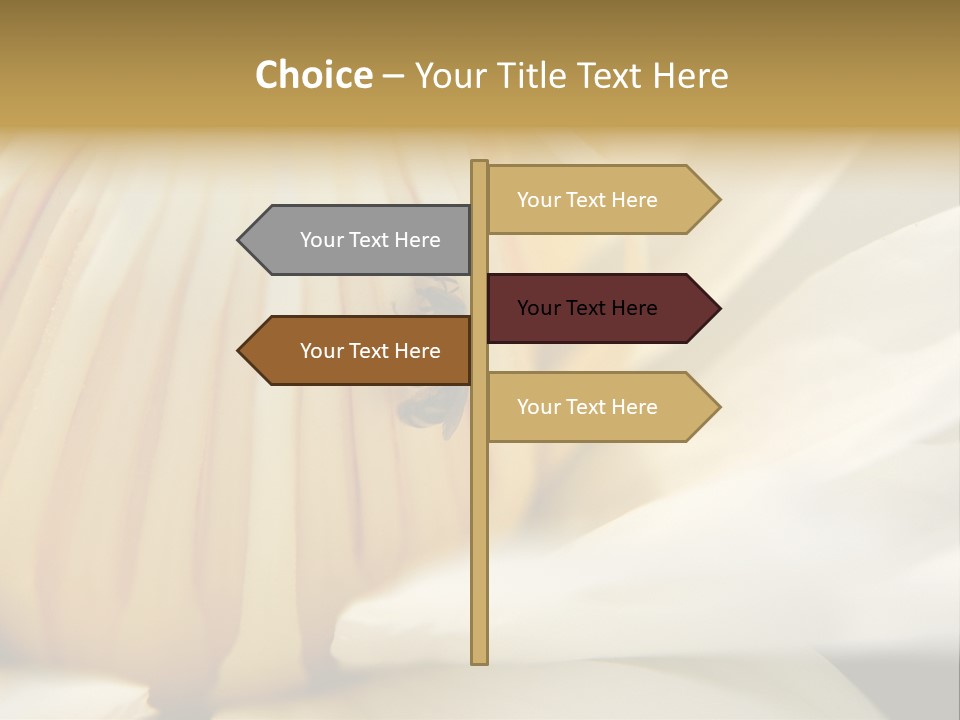 Electricity Unit Temperature PowerPoint Template
