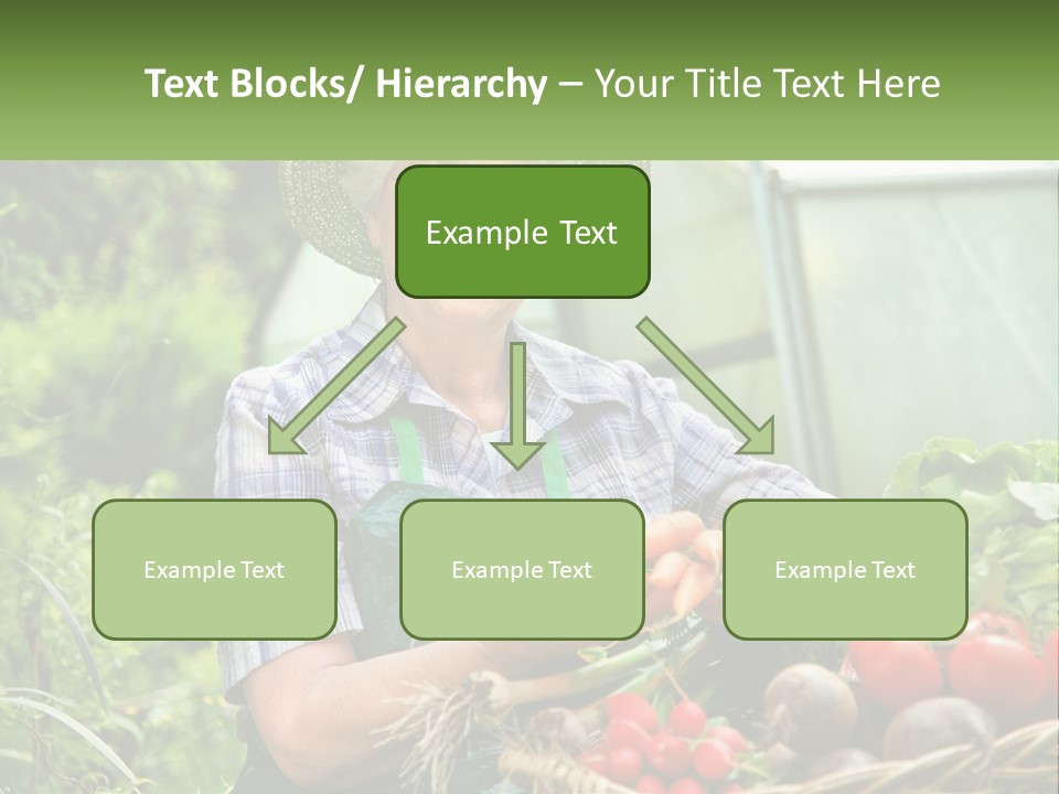 Cooling Conditioner Electric PowerPoint Template