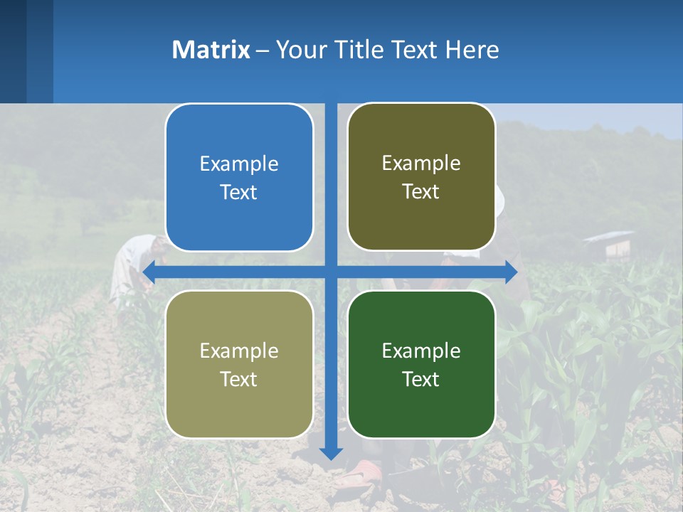 Condition Home Unit PowerPoint Template